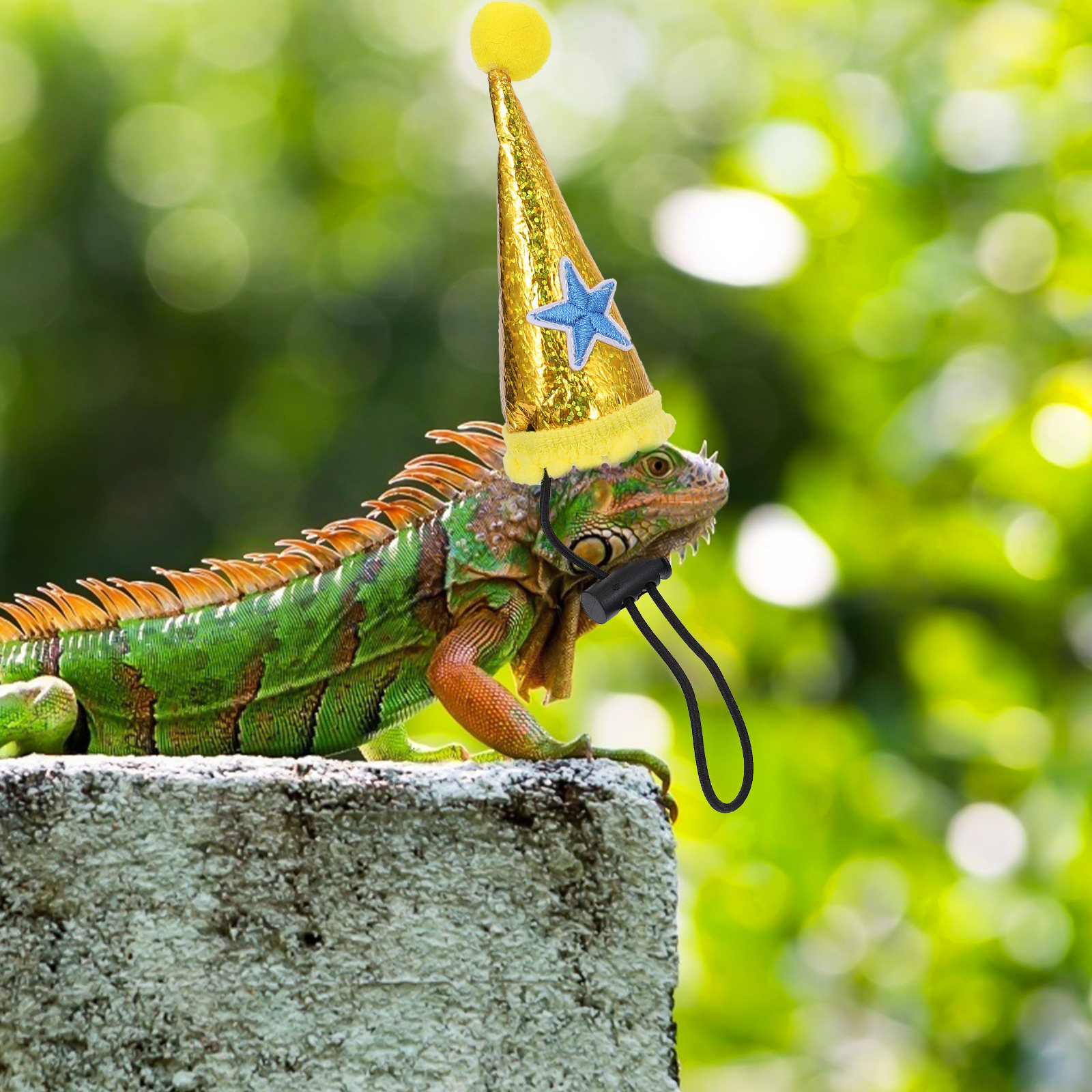 Party Hat Cone - 1 ชิ้น หมวกกิ้งก่าสำหรับสัตว์เลี้ยงฮาโลวีน ผ้าเนื้อนุ่ม ปรับขนาดได้ น้ำหนักเบา
