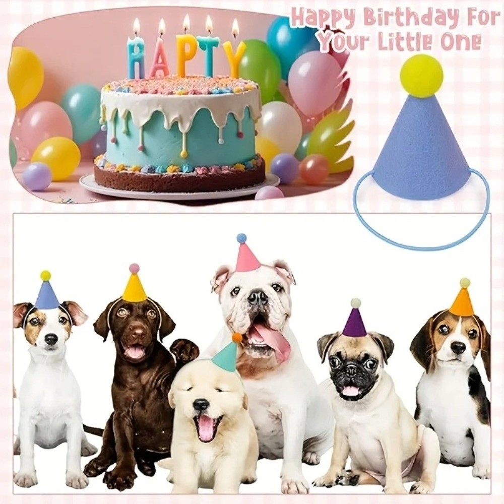 ชุดหมวกปาร์ตี้ขนาดเล็ก 6 ชิ้นใ - Party Hat Cone บทวิจารณ์และราคา