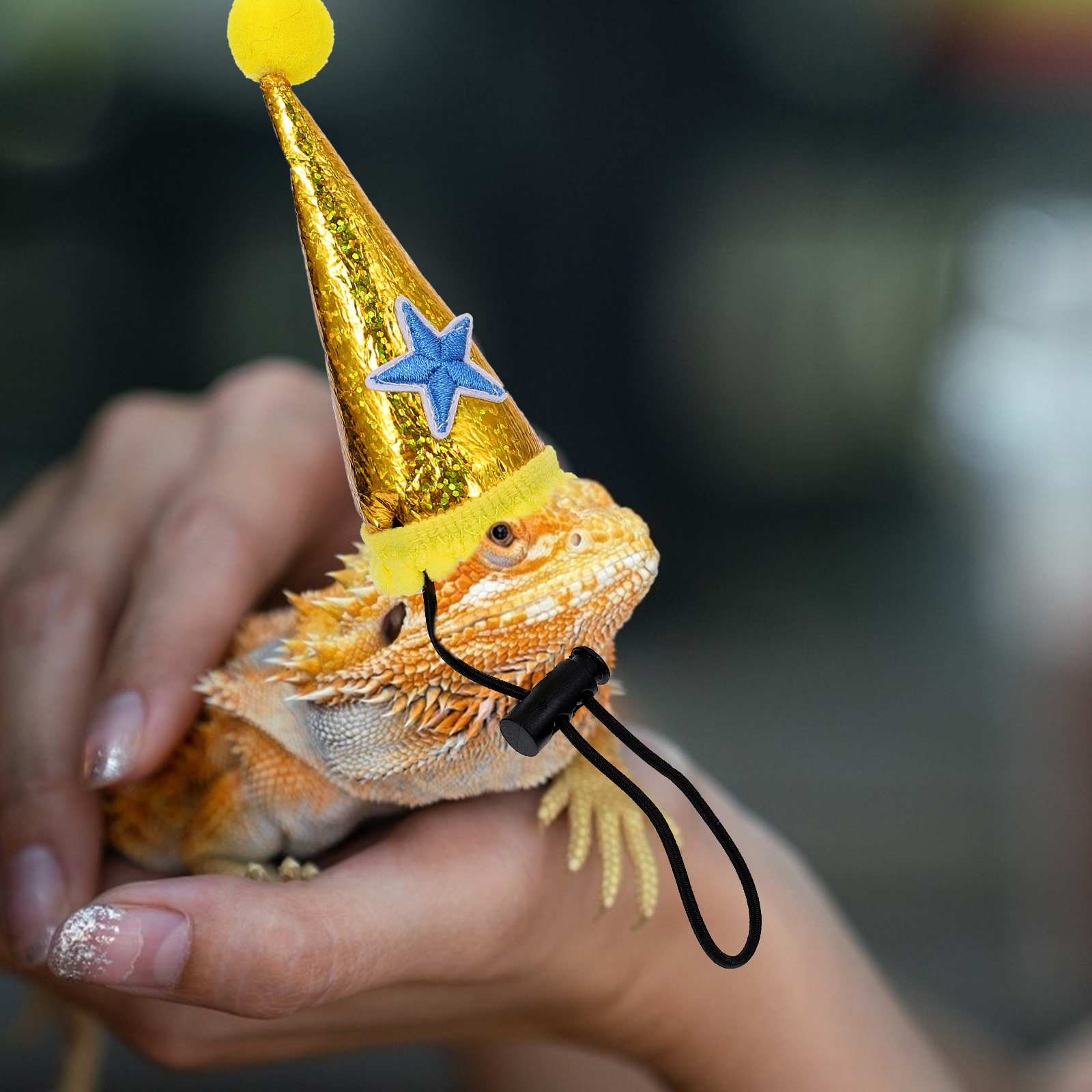 1 ชิ้น หมวกกิ้งก่าสำหรับสัตว์เ - Party Hat Cone บทวิจารณ์และราคา